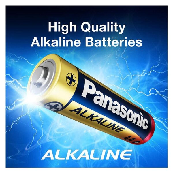 Alkaline 'D'- Batteries 197033
