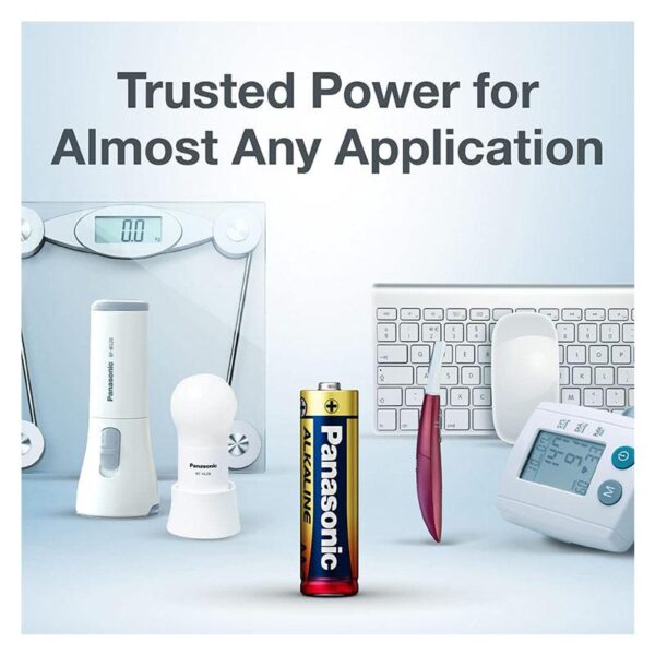 Alkaline 'D'- Batteries 197033