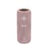FUN 200 Portable Bluetooth Speaker
