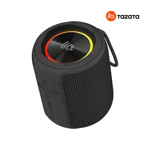 PALM 100 Portable Bluetooth Speaker