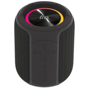 PALM 100 Portable Bluetooth Speaker