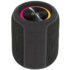 PALM 100 Portable Bluetooth Speaker