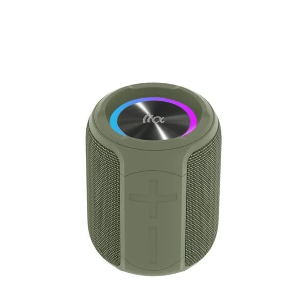 PALM 100 Portable Bluetooth Speaker